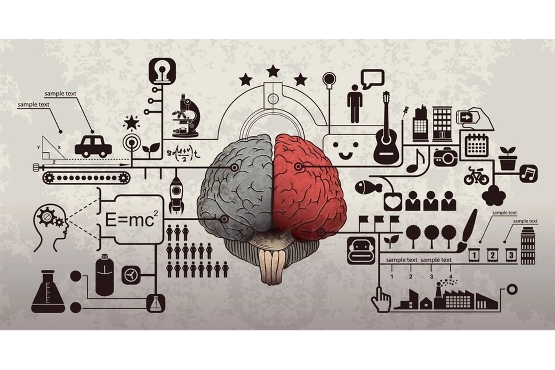 Обучение инструкторов по скорочтению и развитию памяти. Дети (Мария Шутова), фото 1 из 1.