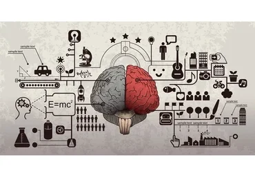 Обучение инструкторов по скорочтению и развитию памяти. Дети (Мария Шутова)