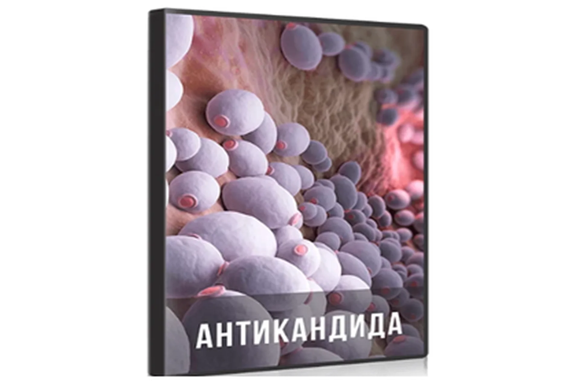 Антикандида (Ольга Бутакова), фото 1 из 1.