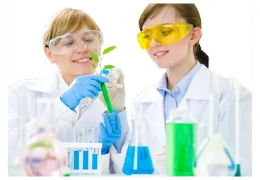 [Расправь Крылья] Как засунуть рыбу в помидор? Тариф Полный курс (Гульнара Баязутдинова)