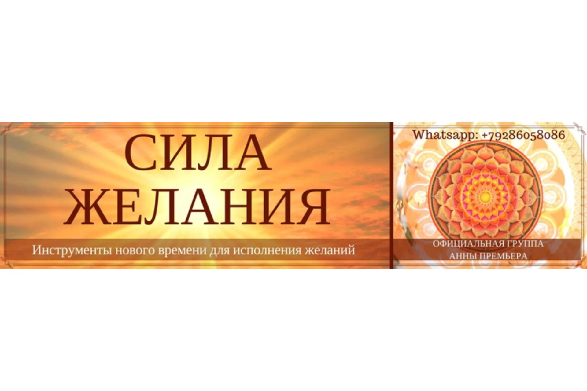 Полный курс по Ци-Мень. Все модули (Анна Премьера), фото 1 из 1.