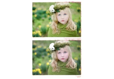 [One Willow] Коллекция пресетов Lightroom