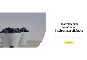 Практическое пособие по бездрожжевой диете (Аалия Маджид)