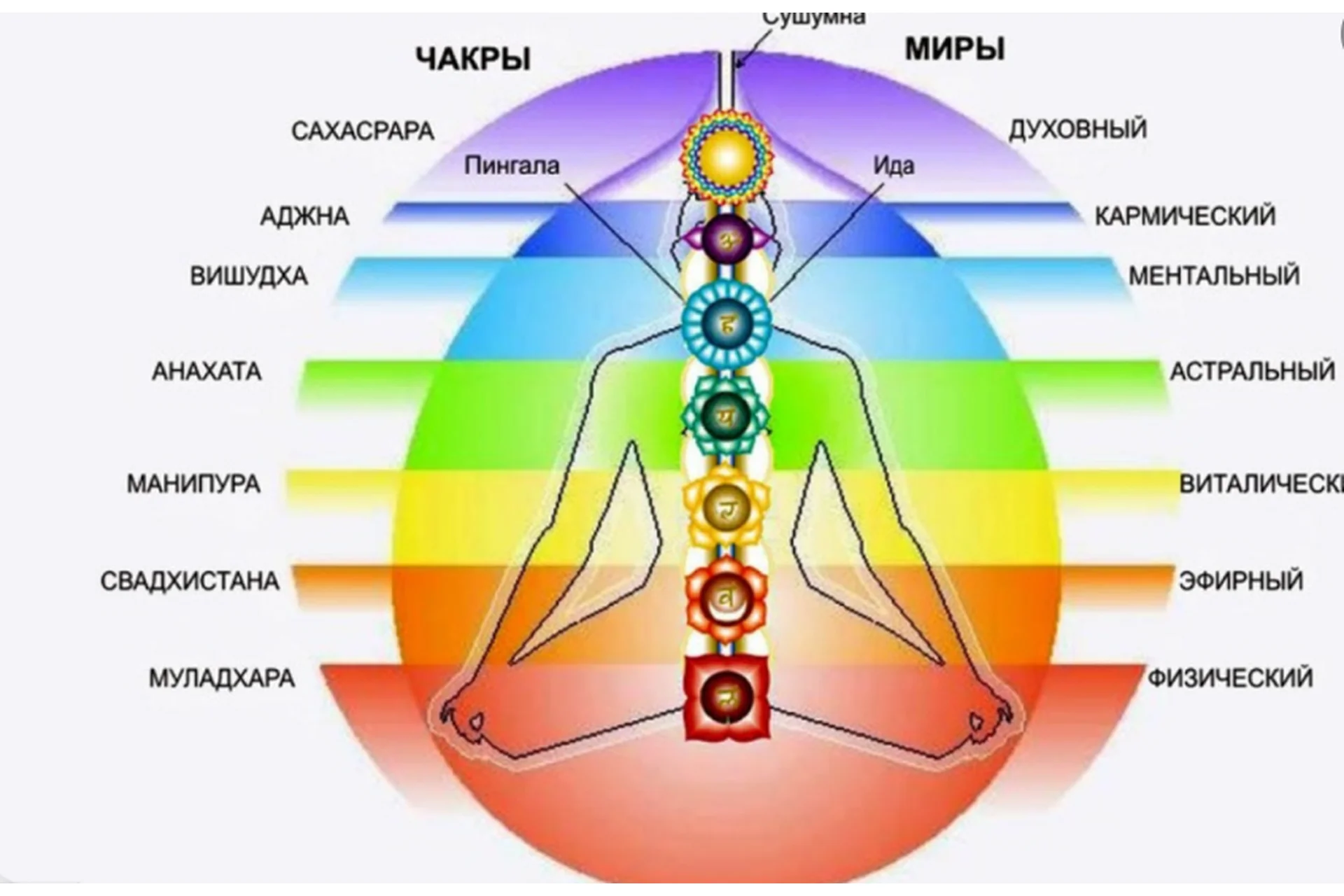 [Школа Кайлас] 7 ступень (Андрей Дуйко), фото 1 из 1.