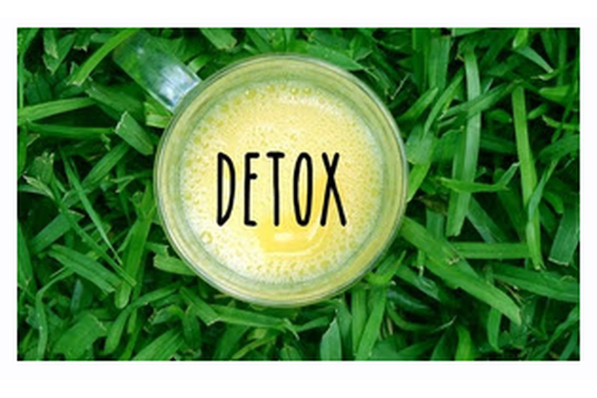 [IQketo] Печень: детокс программа (Анна Шутова), фото 1 из 1.