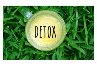 [IQketo] Печень: детокс программа (Анна Шутова)