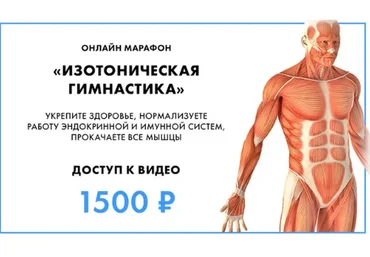 Изотоническая гимнастика (Владимир Бондаренко, Михаил Новиков)