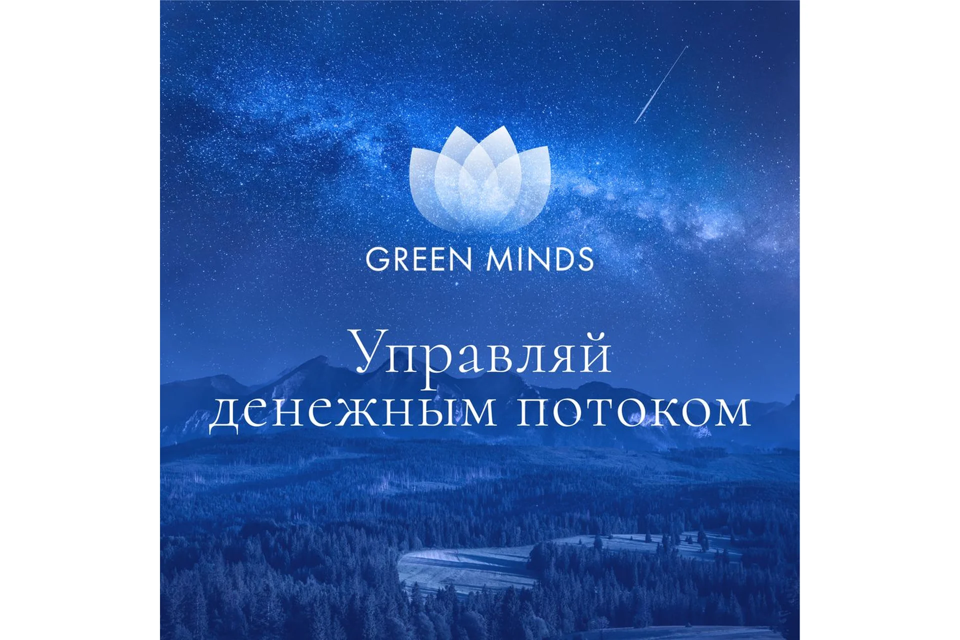 Нейромедитация Green minds «Управляй денежным потоком» (Алексей Ситников), фото 1 из 1.