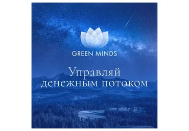 Нейромедитация Green minds «Управляй денежным потоком» (Алексей Ситников)