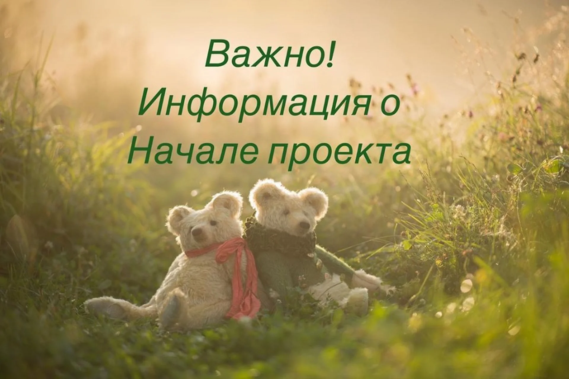 Большой медведь (Ольга Иванело), фото 1 из 1.