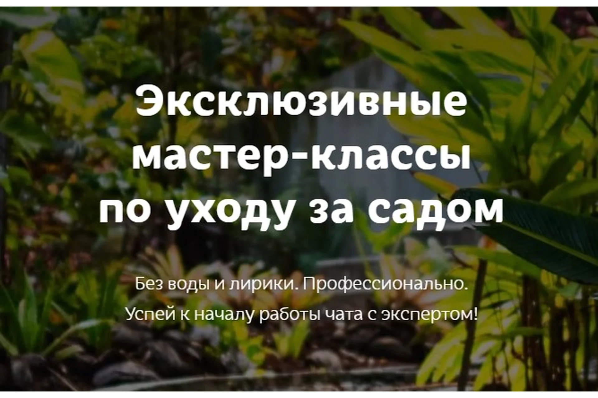 Мир томатов. Полный комплект (Кристианна Виниченко), фото 1 из 1.