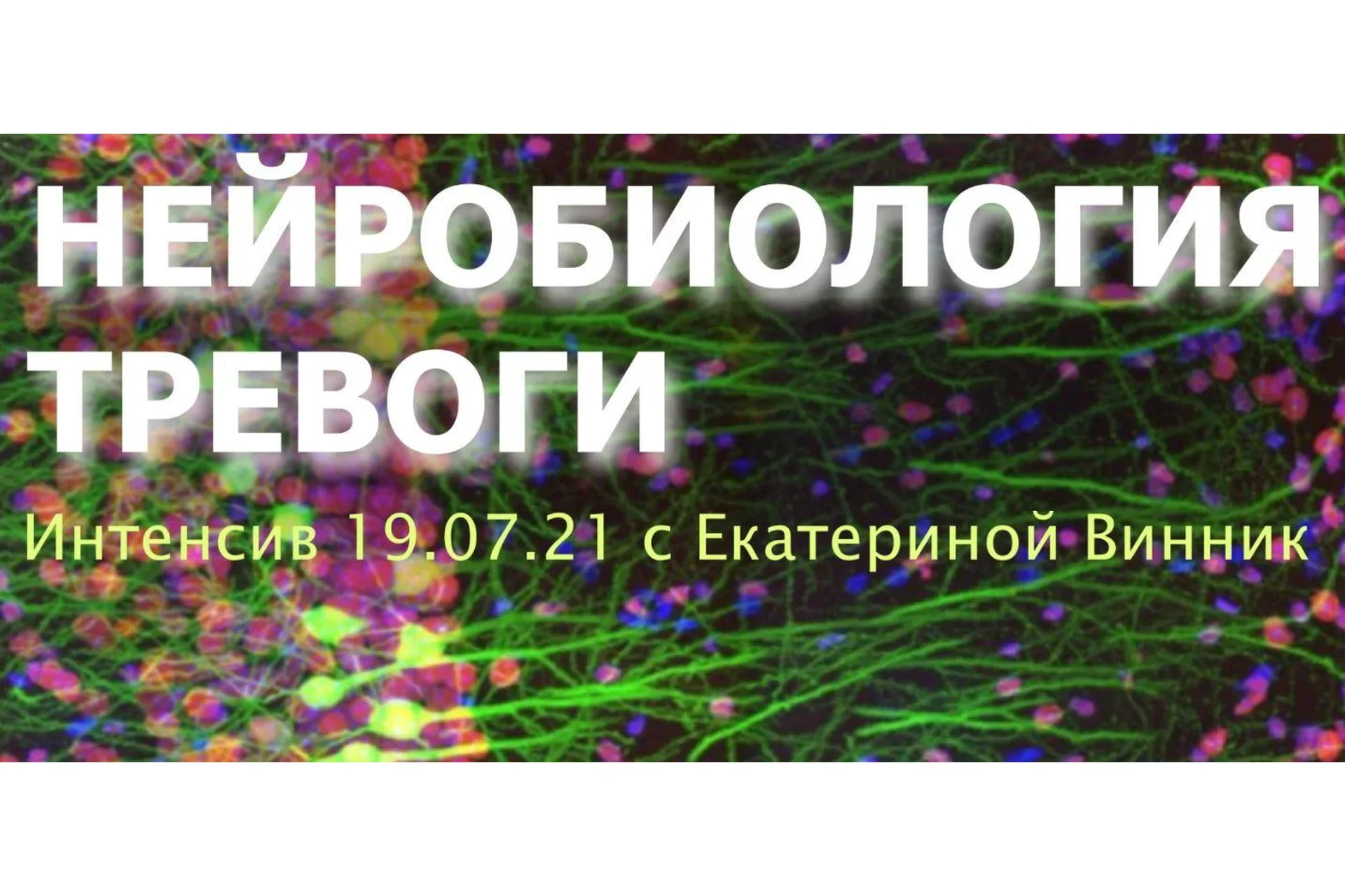 Нейробиология тревоги (Екатерина Винник), фото 1 из 1.