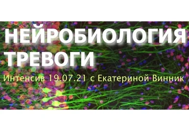 Нейробиология тревоги (Екатерина Винник)