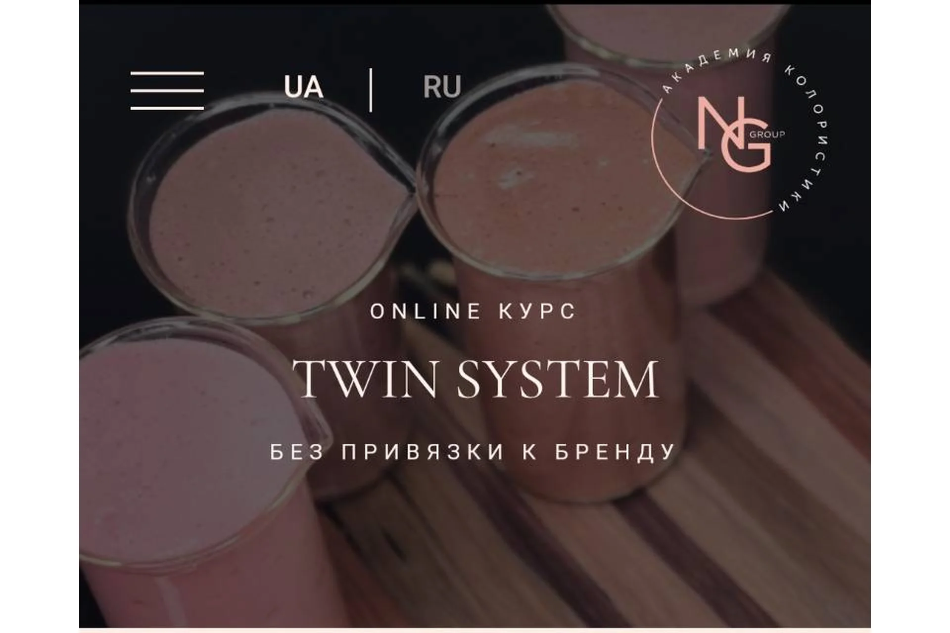 Twin system (Наталья Головченко), фото 1 из 1.