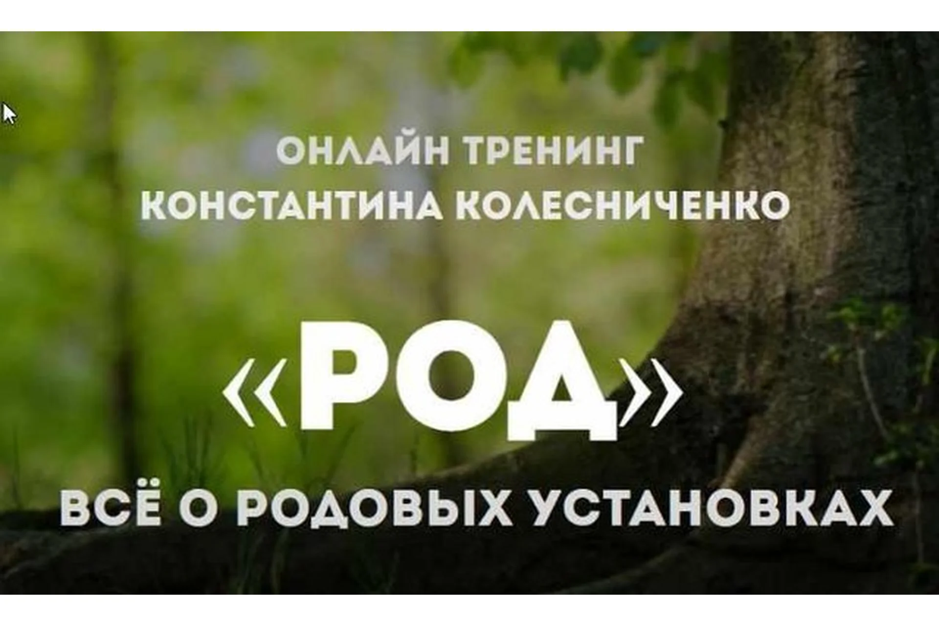 Род. Всё о родовых установках (Константин Колесниченко), фото 1 из 1.