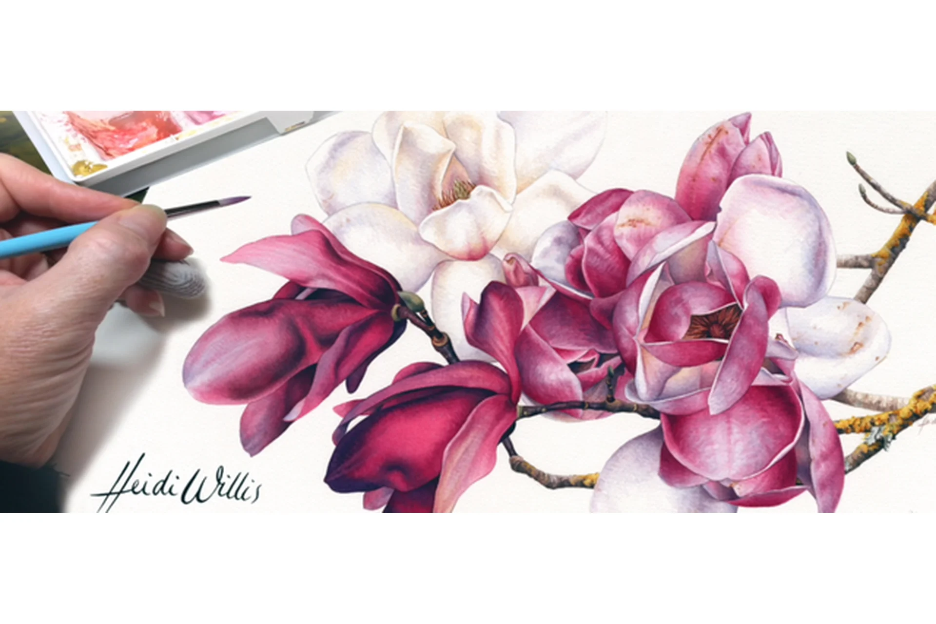 [Udemy] Реалистичное рисование. Акварель и ботаника (Heidi Willis), фото 1 из 1.