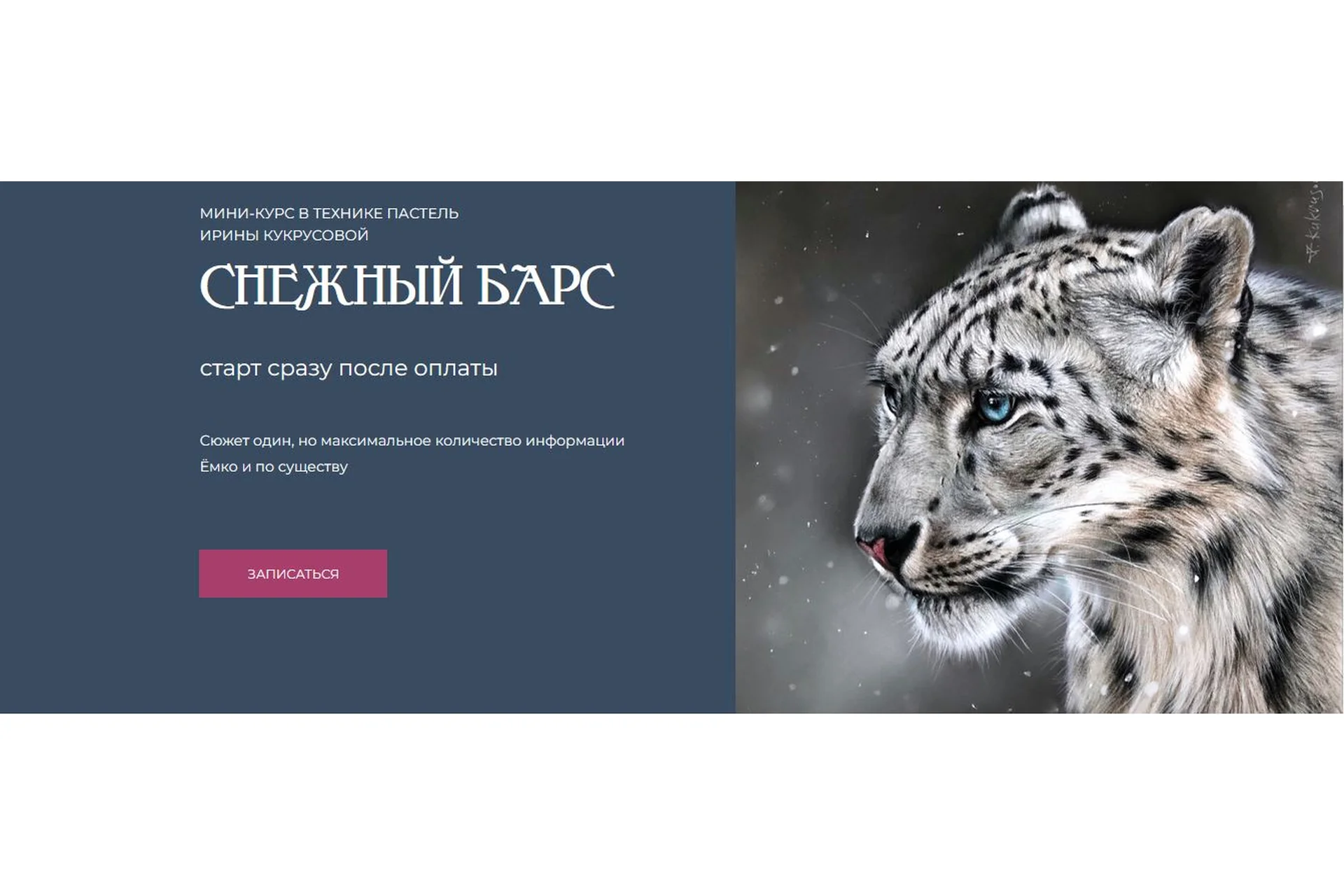 Снежный барс (Ирина Кукрусова), фото 1 из 1.