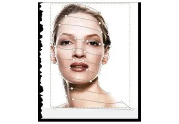 VIII модуль. Анатомия психики через три базовых алгоритма. Спираль Портрета (Ирина Бердина)