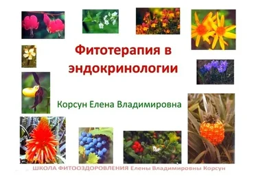 Фитооздоровление при эндокринных заболеваниях (Елена Корсун)