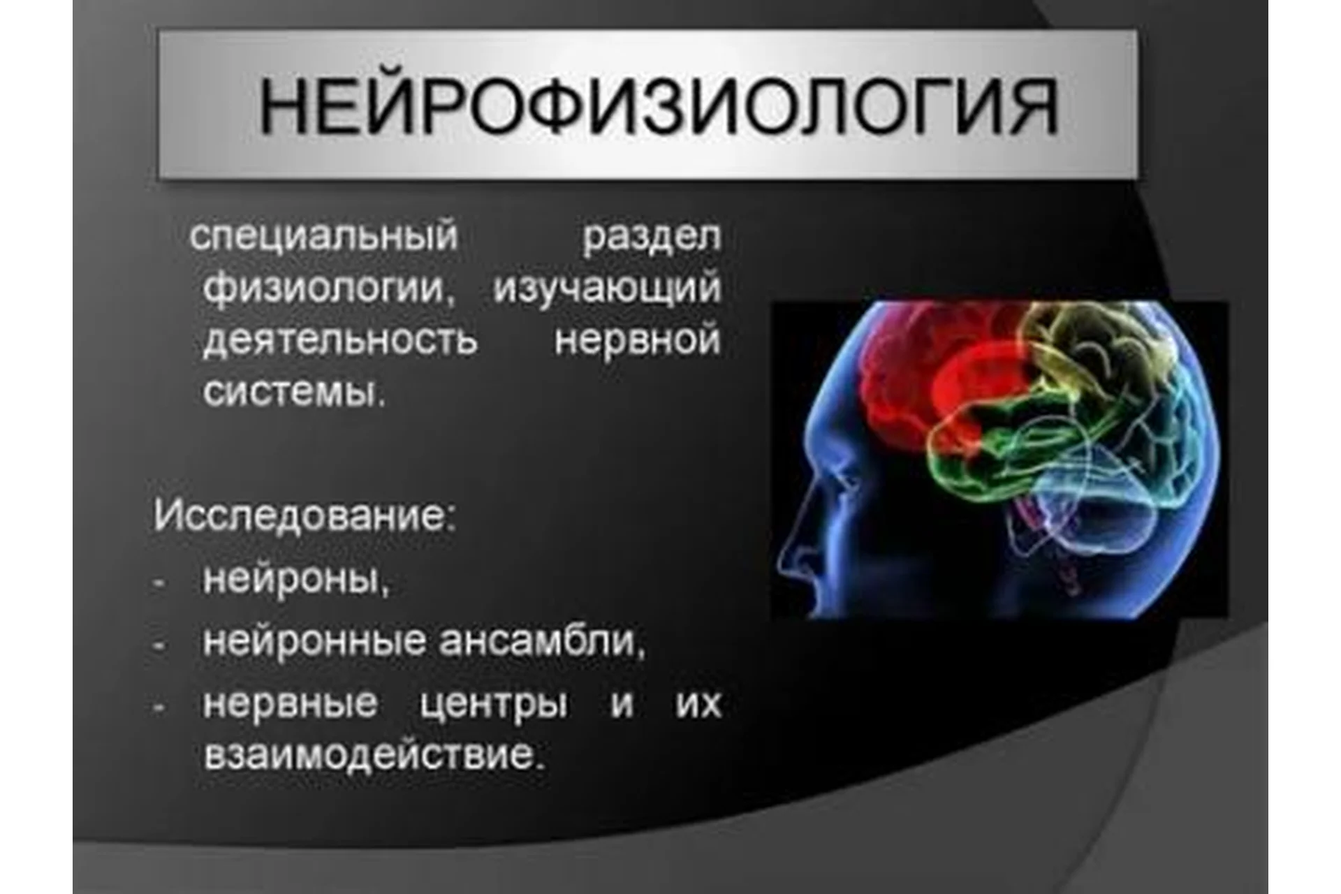 [Школа биологической кинезиологии] Нейрофизиология.Теоретические основы психосоматики, 2018, фото 1 из 1.