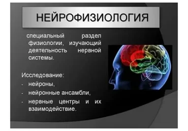 [Школа биологической кинезиологии] Нейрофизиология.Теоретические основы психосоматики, 2018
