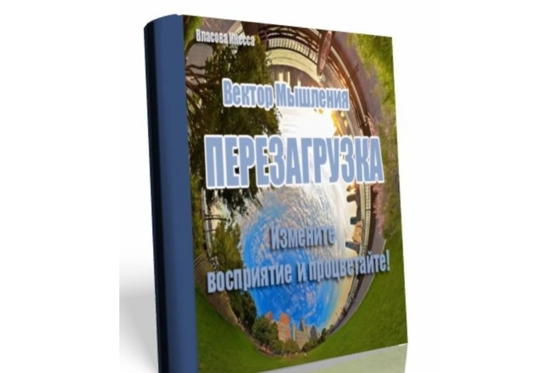 Вектор мышления. Перезагрузка (Инесса Власова), фото 1 из 1.