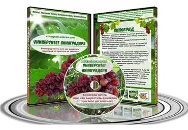 Университет виноградаря (Сергей Сукманюк)