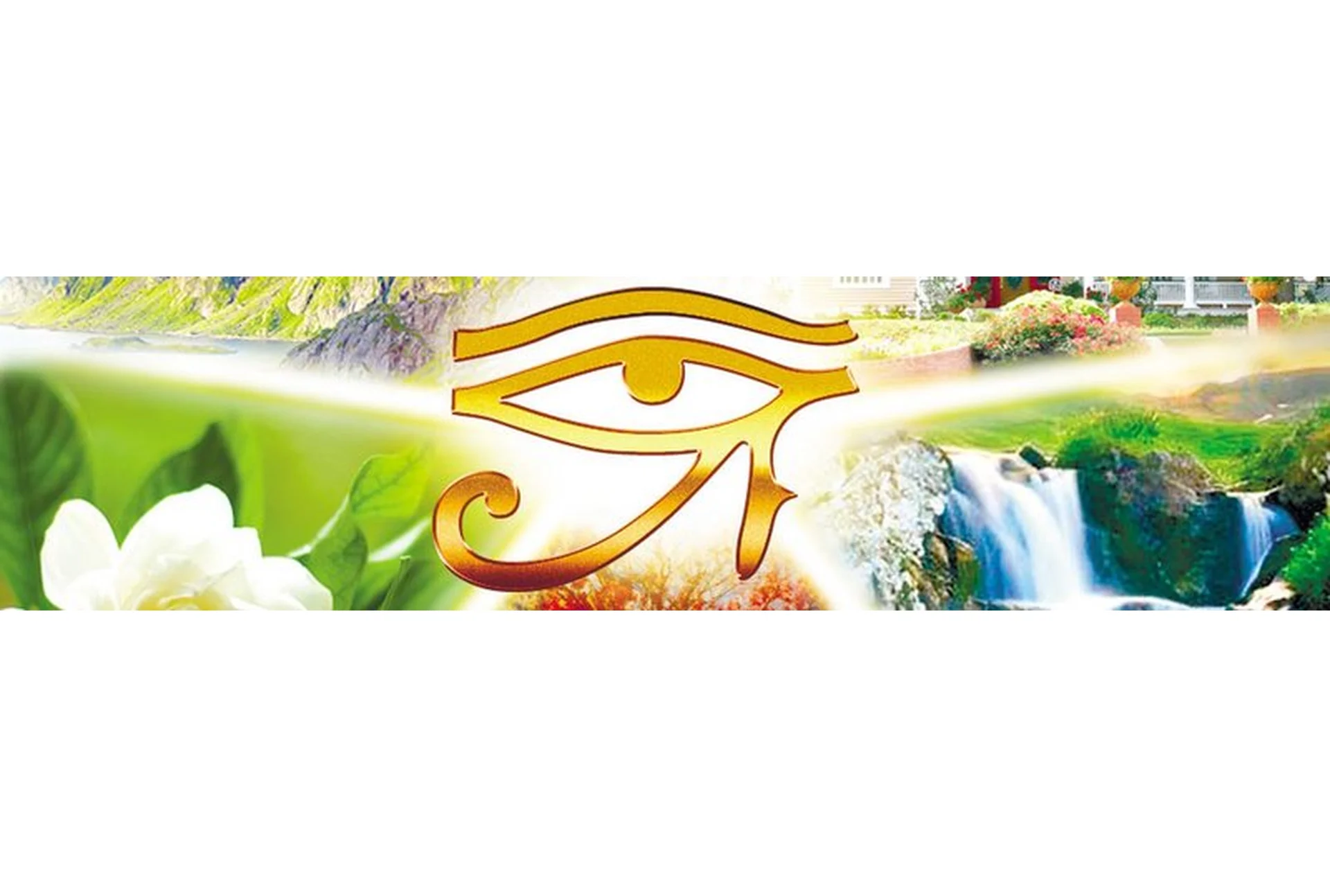 [НАДПО] Символдрама: кататимно-имагинативная психотерапия (Татьяна Литвинова), фото 1 из 1.