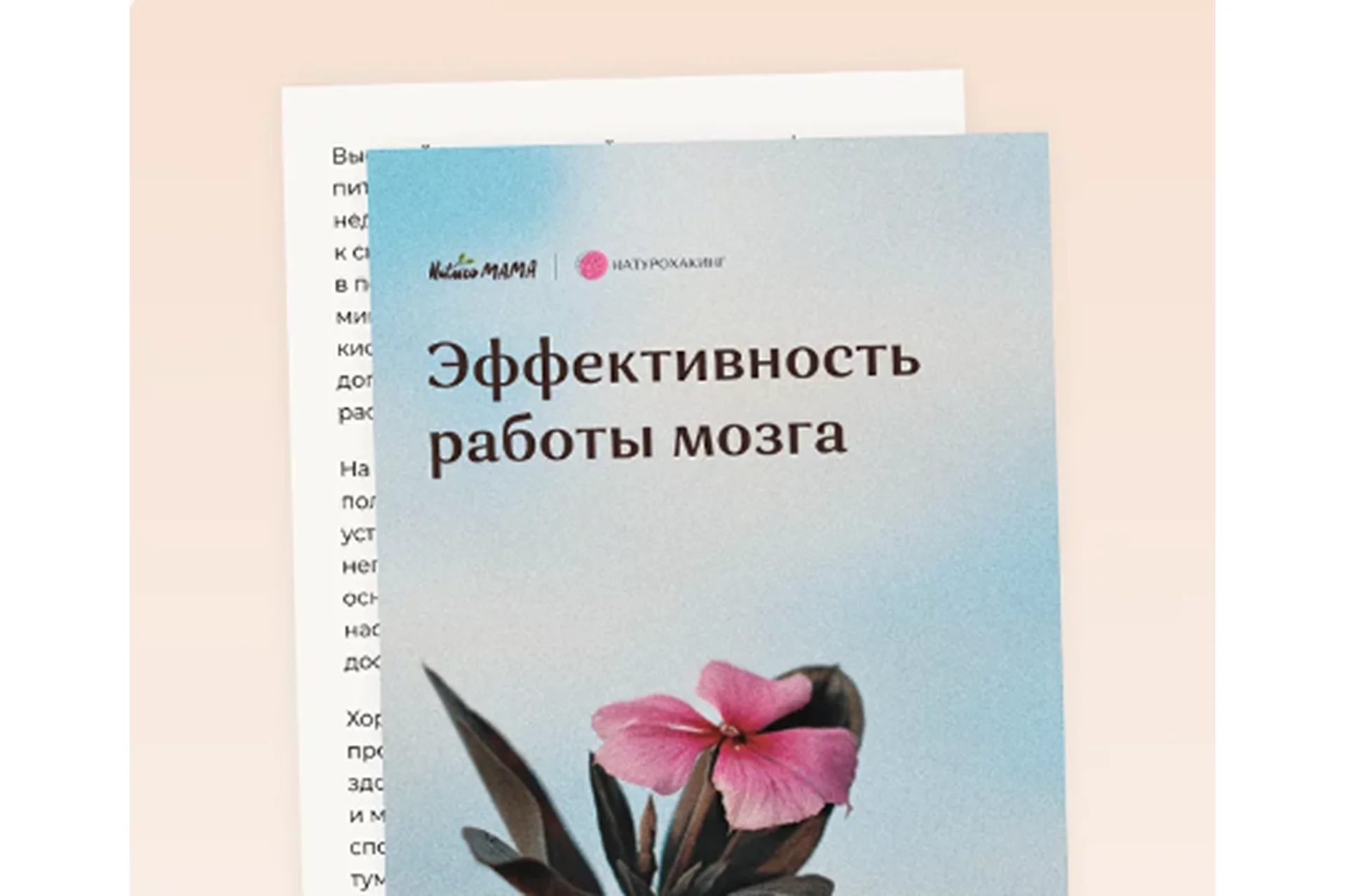 Рекомендации для эффективности работы мозга (Вероника Хуснутдинова), фото 1 из 1.