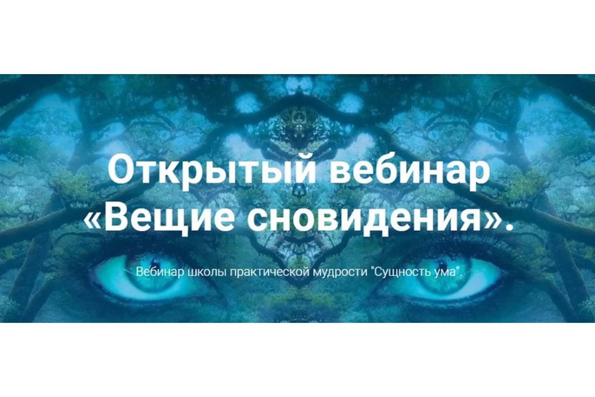 Вещие сновидения (Ирина Зингерман), фото 1 из 1.