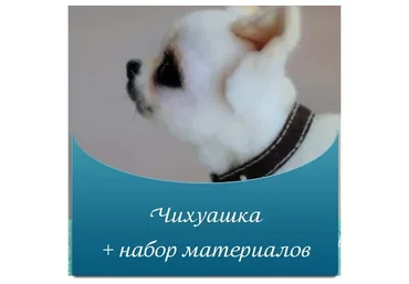 Чихуашка (Светлана Гуменникова)