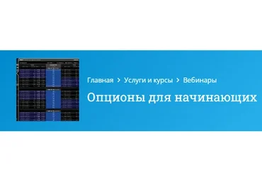 Опционы для начинающих (Оксана Гафаити)