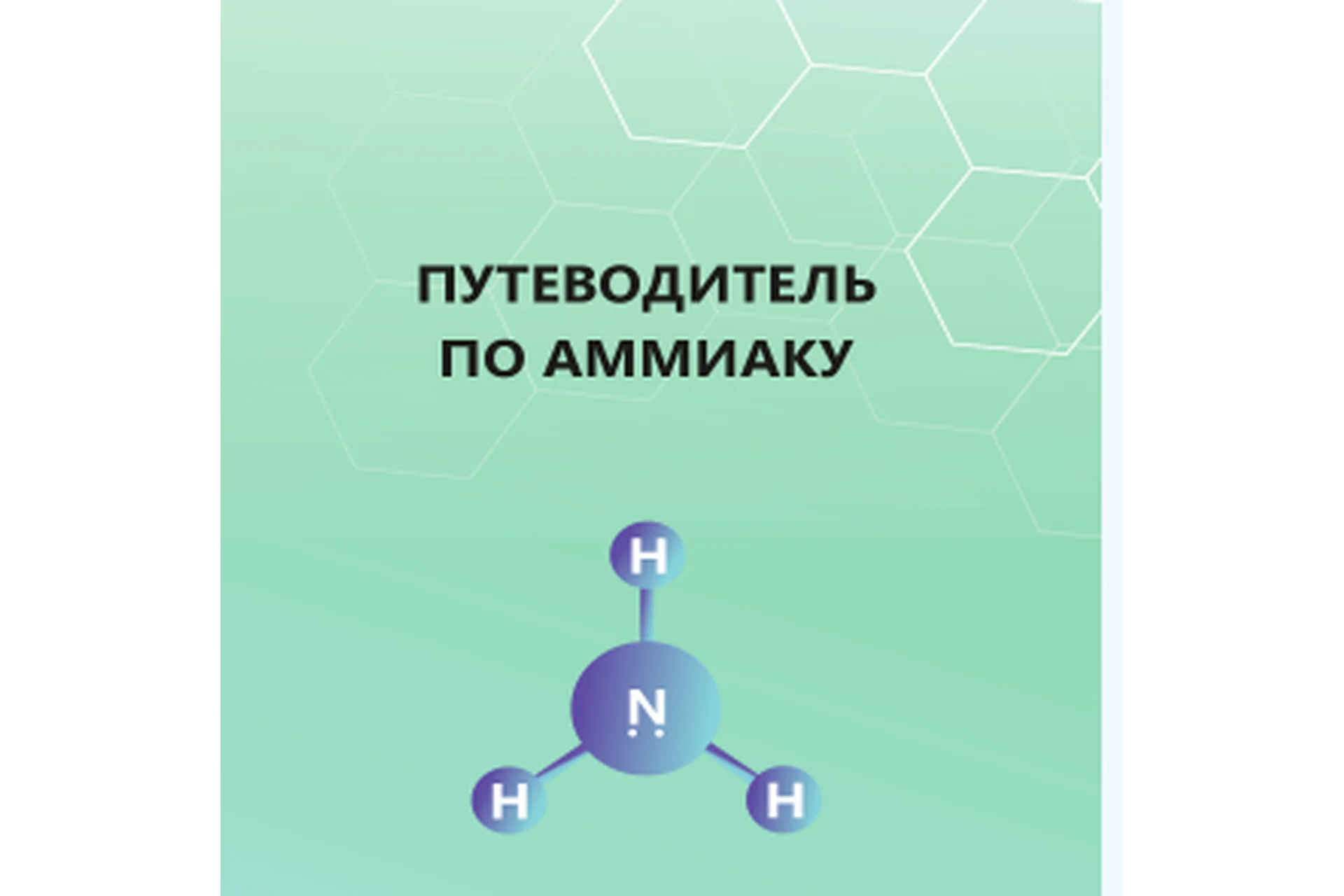 Путеводитель по аммиаку   (Кристина Максимова), фото 1 из 1.