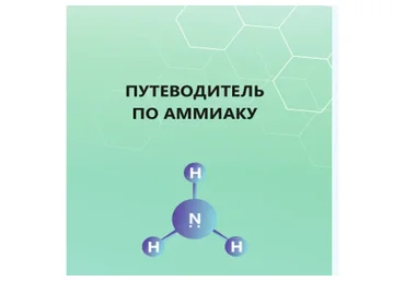Путеводитель по аммиаку   (Кристина Максимова)