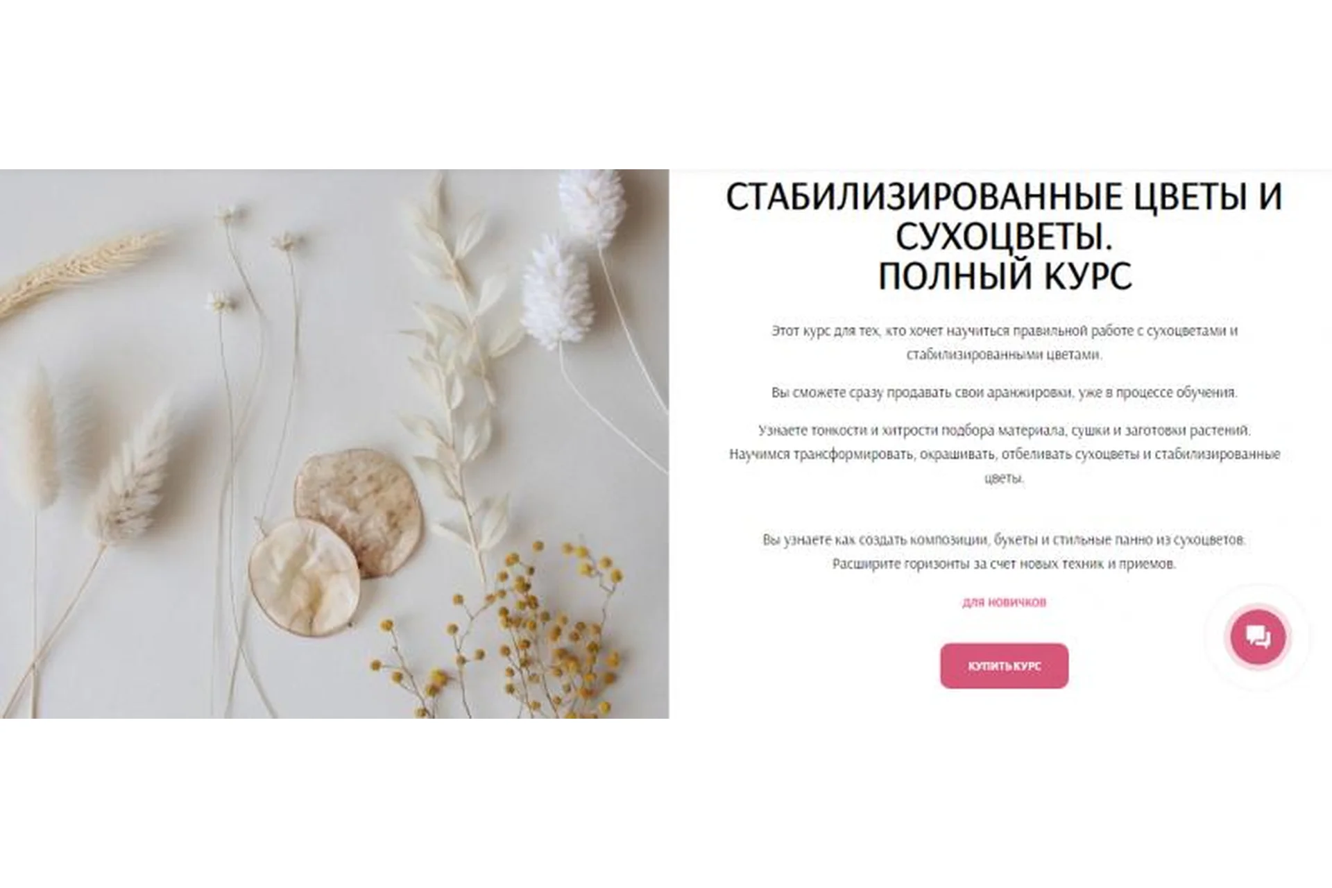 [Flower School] Стабилизированные цветы и сухоцветы. Полный курс. Сам (Екатерина Андрюкова), фото 1 из 1.