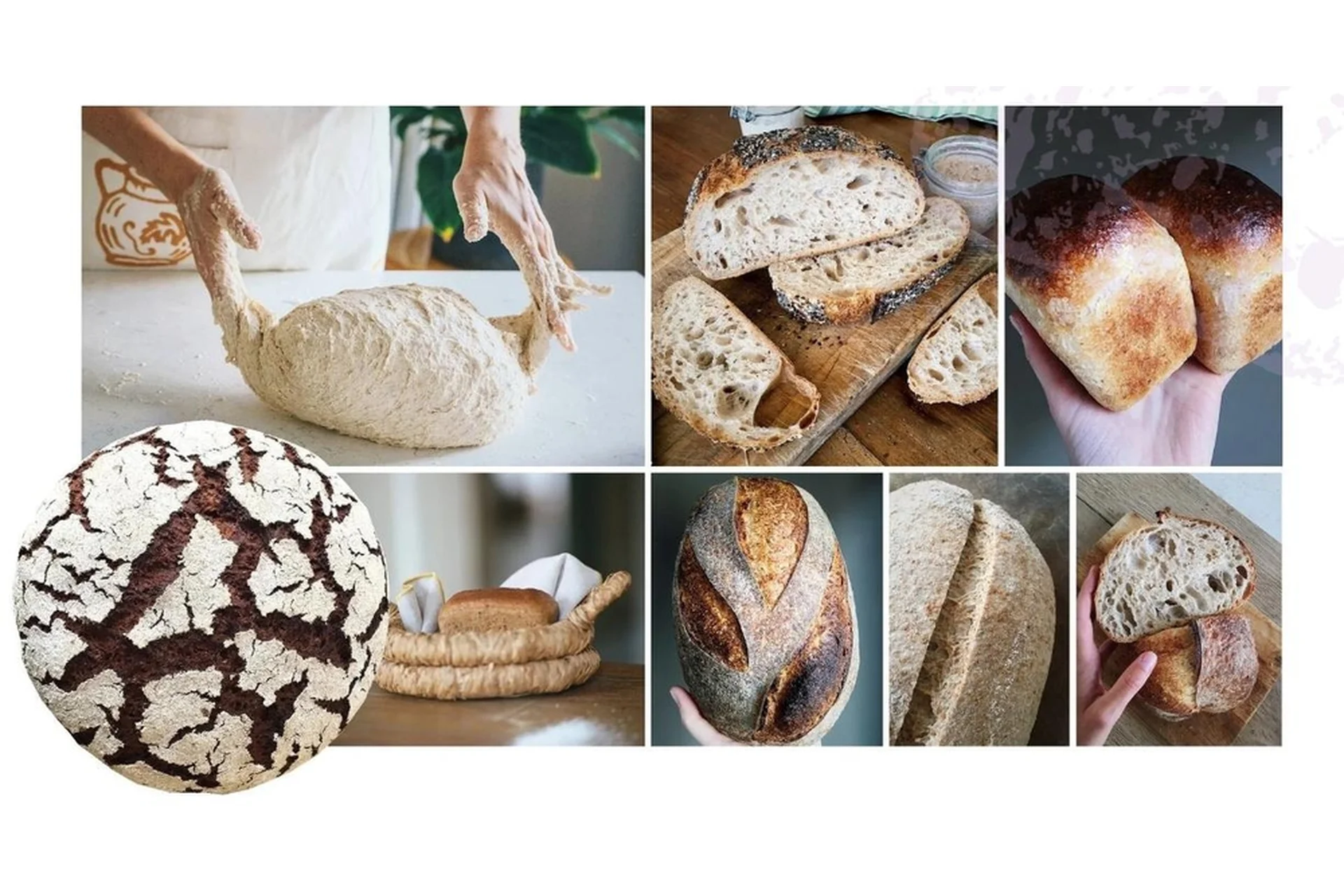 [Oh my Bread] Итальянский курс (Анна Кучкина), фото 1 из 1.