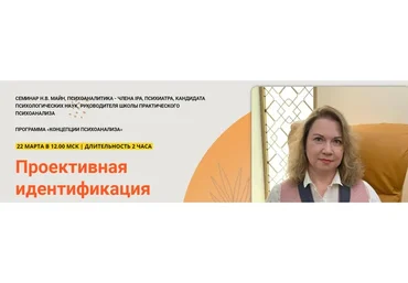 Проективная идентификация (Надежда Майн)