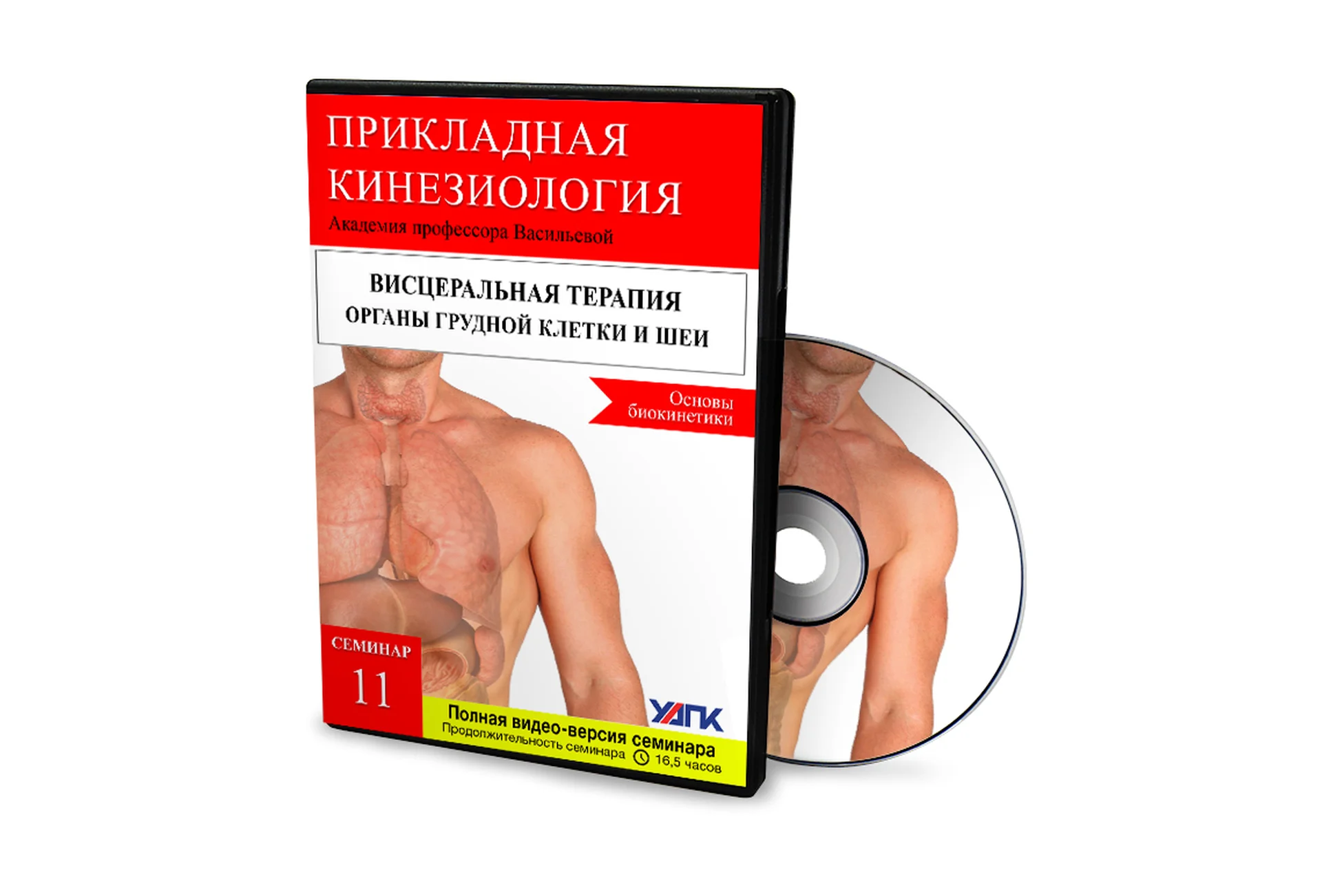 Висцеральная терапия органов грудной клетки и шеи. Основы Биокинетики (Михаил Савиных), фото 1 из 1.