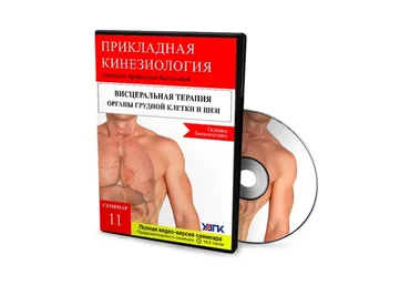 Висцеральная терапия органов грудной клетки и шеи. Основы Биокинетики (Михаил Савиных)