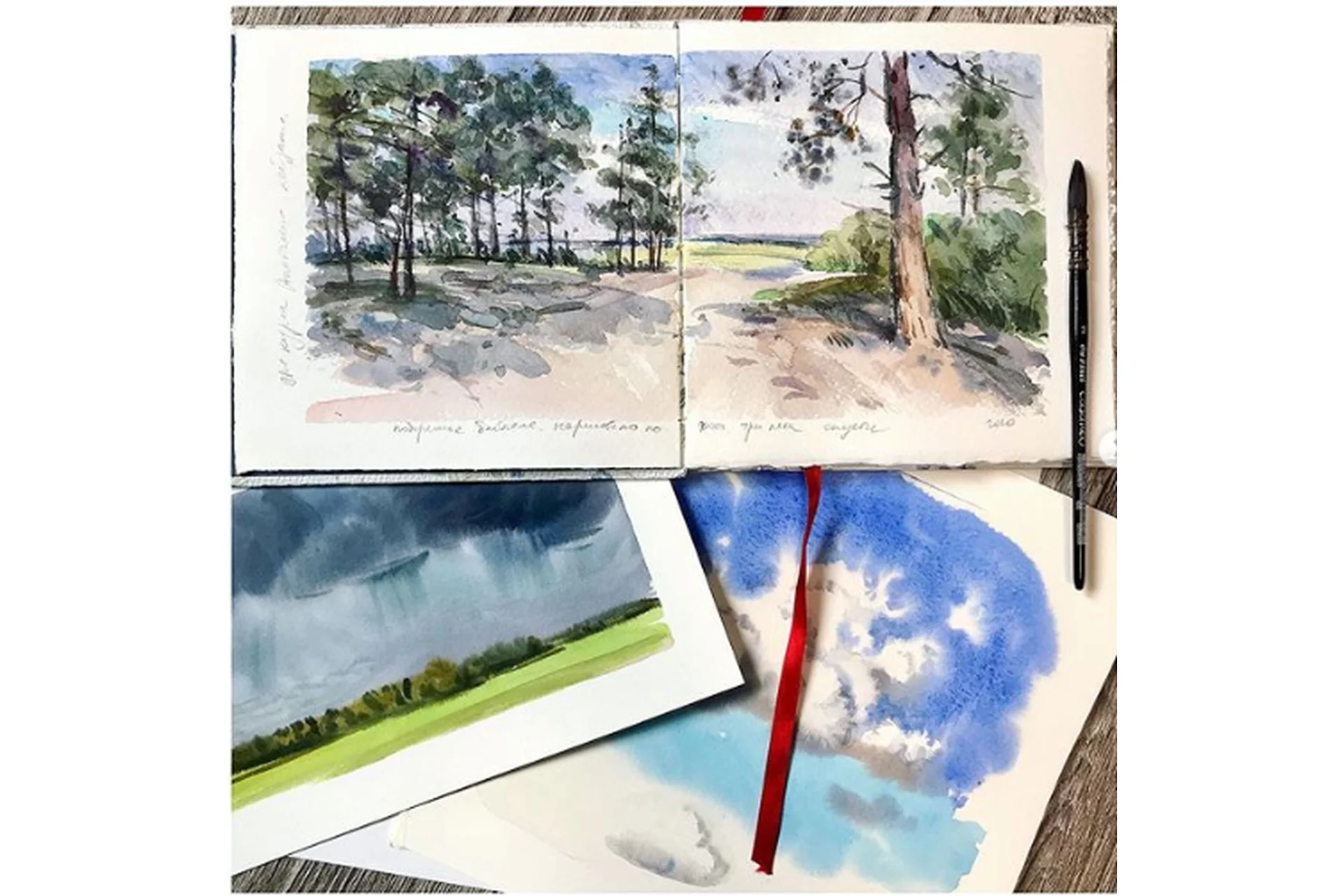 Анатомия пейзажа (Елизавета Залегина), фото 1 из 1.