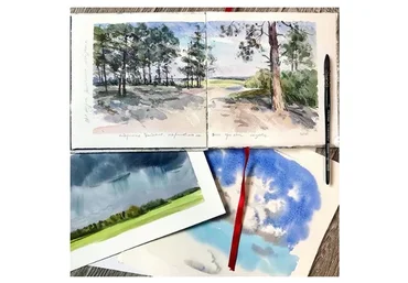 Анатомия пейзажа (Елизавета Залегина)