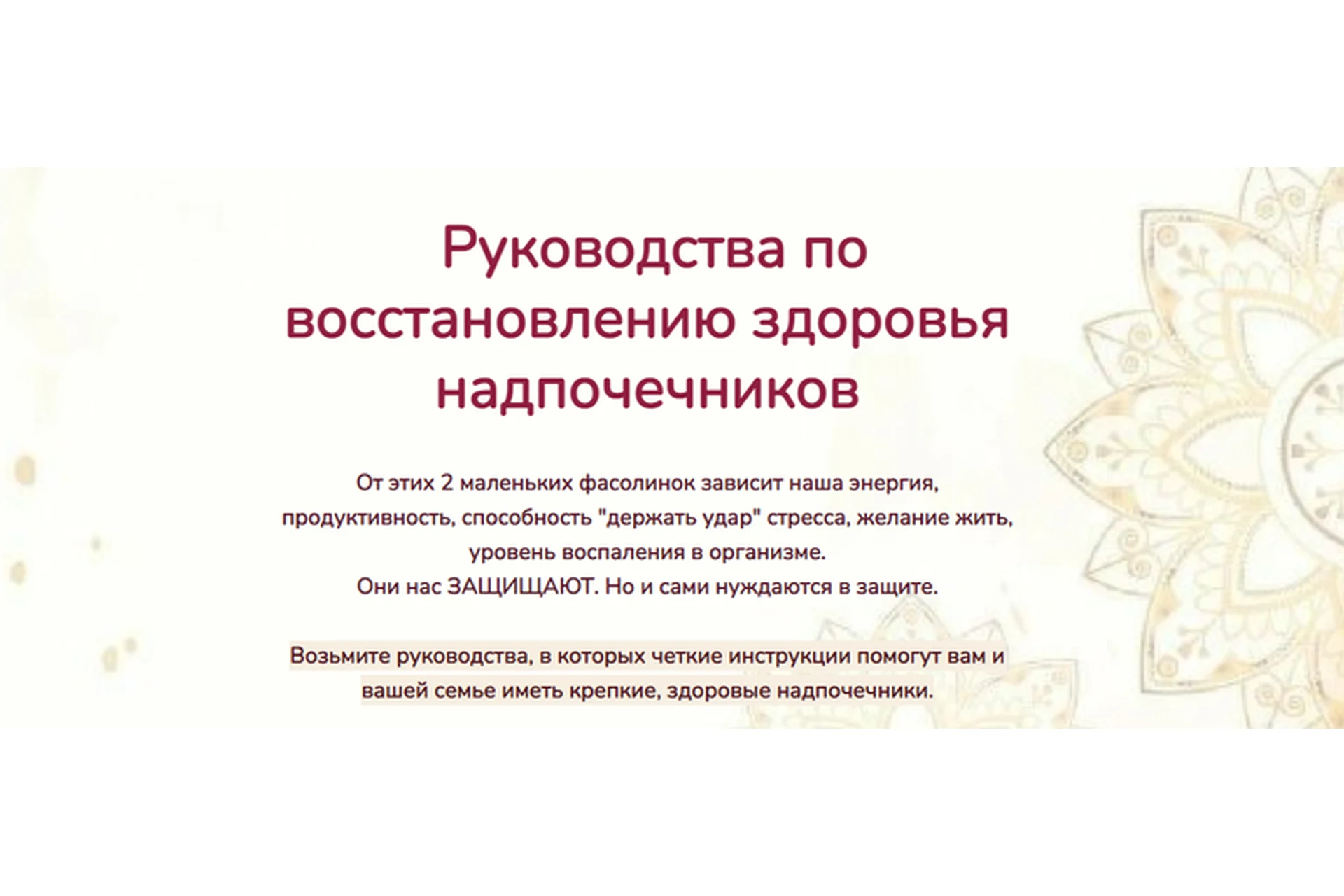 Руководства по восстановлению здоровья надпочечников. 2 части (Катерина Форма), фото 1 из 1.