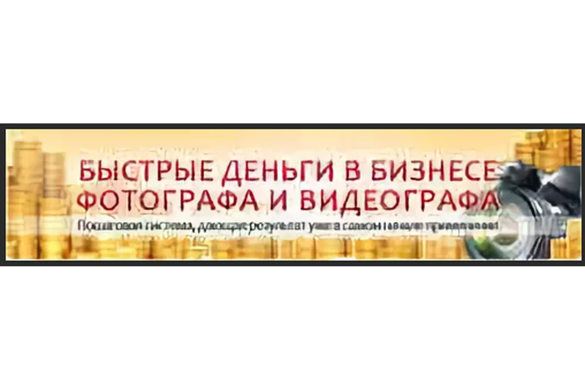Быстрые деньги в бизнесе фотографа и видеографа 2.0 Зимняя версия (Ласло Габани, Булат Алеев), фото 1 из 1.