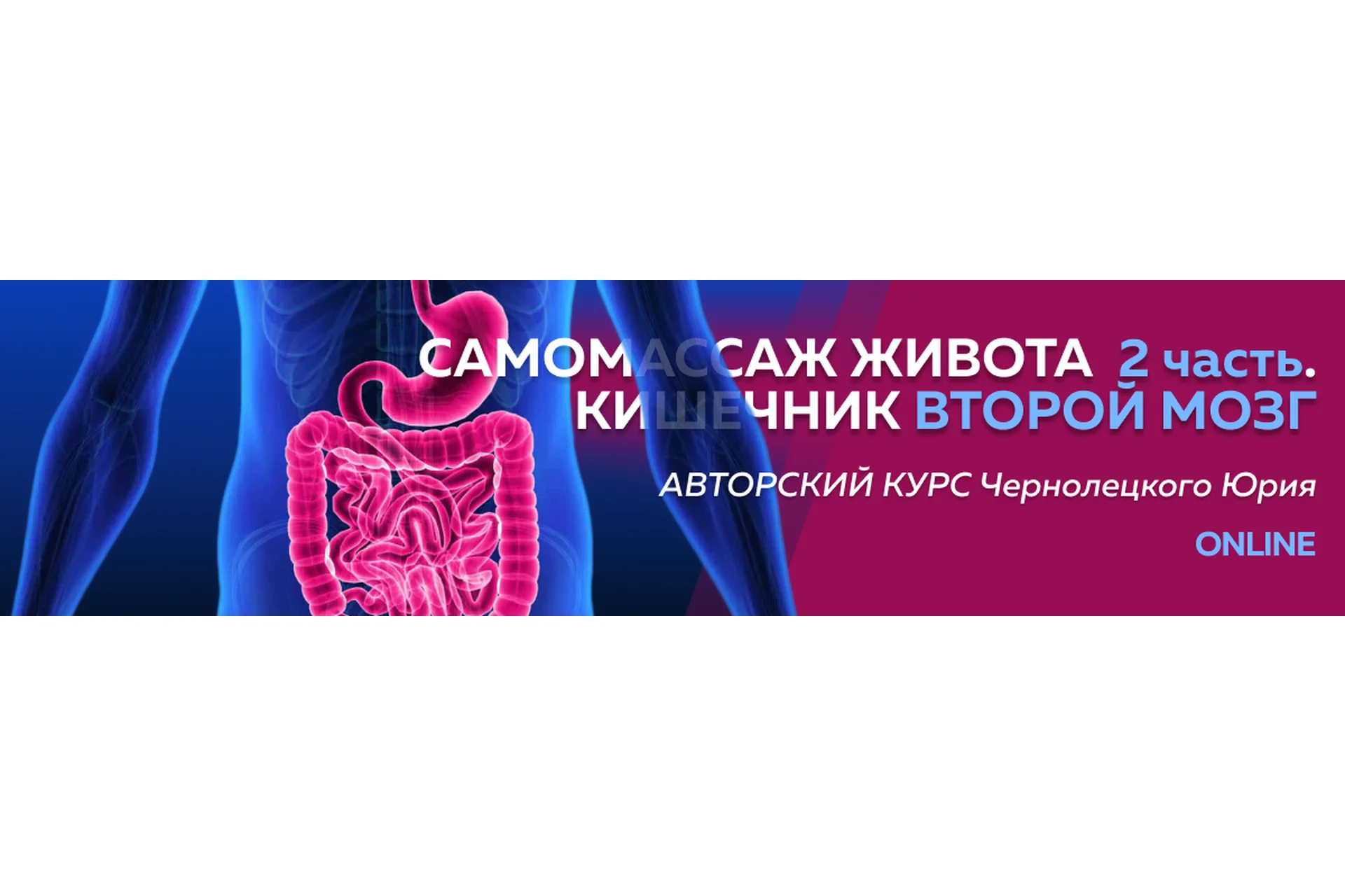[Центр Норбекова] Самомассаж живота 2 часть Кишечник второй мозг (Юрий Чернолецкий), фото 1 из 1.