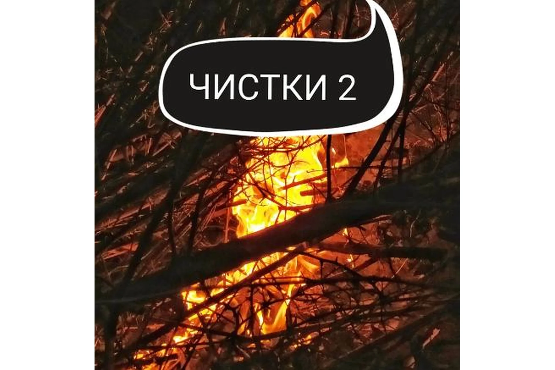 Курс чисток. Вторая ступень (Ольга Ракита), фото 1 из 1.