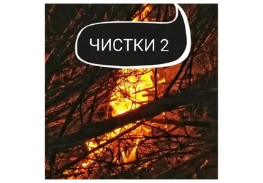 Курс чисток. Вторая ступень (Ольга Ракита)