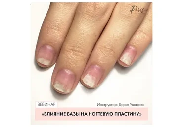 Безглютеновая Кухня 7.0 только лекции (Софья Ивашова)