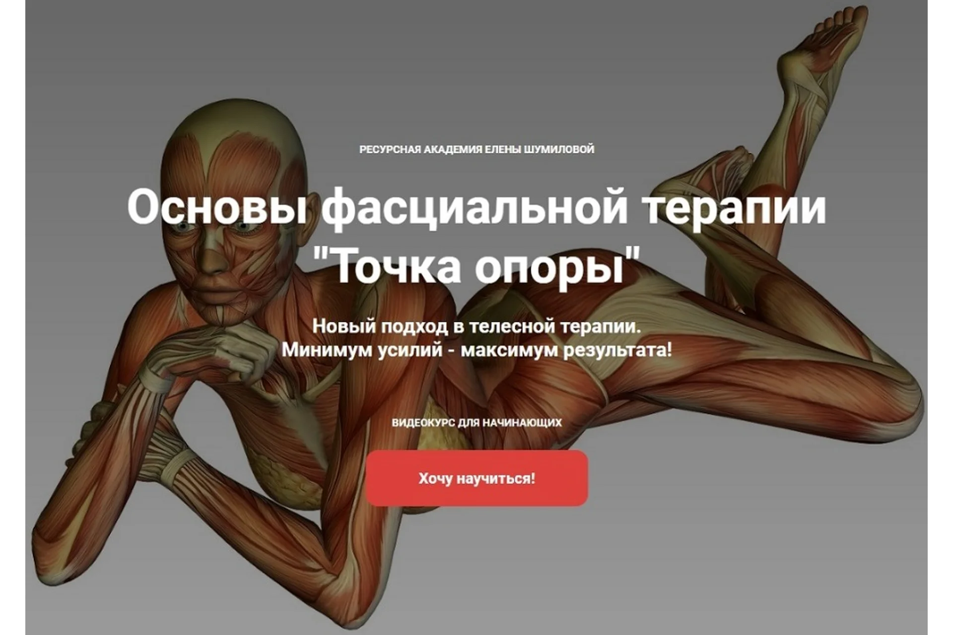 [Ресурсная академия] Основы фасциальной терапии  Точка опоры (Елена Шумилова), фото 1 из 1.