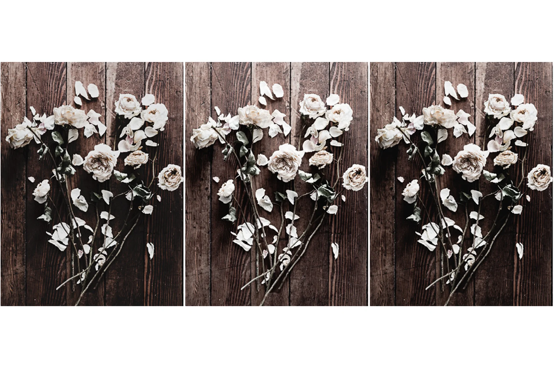 Коллекция пресетов Be Still Light Play Lightroom (Kim Klassen), фото 1 из 1.