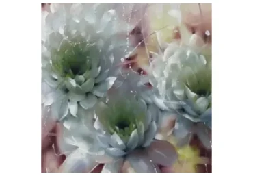 Хризантемы (Марсель Сингатуллин)